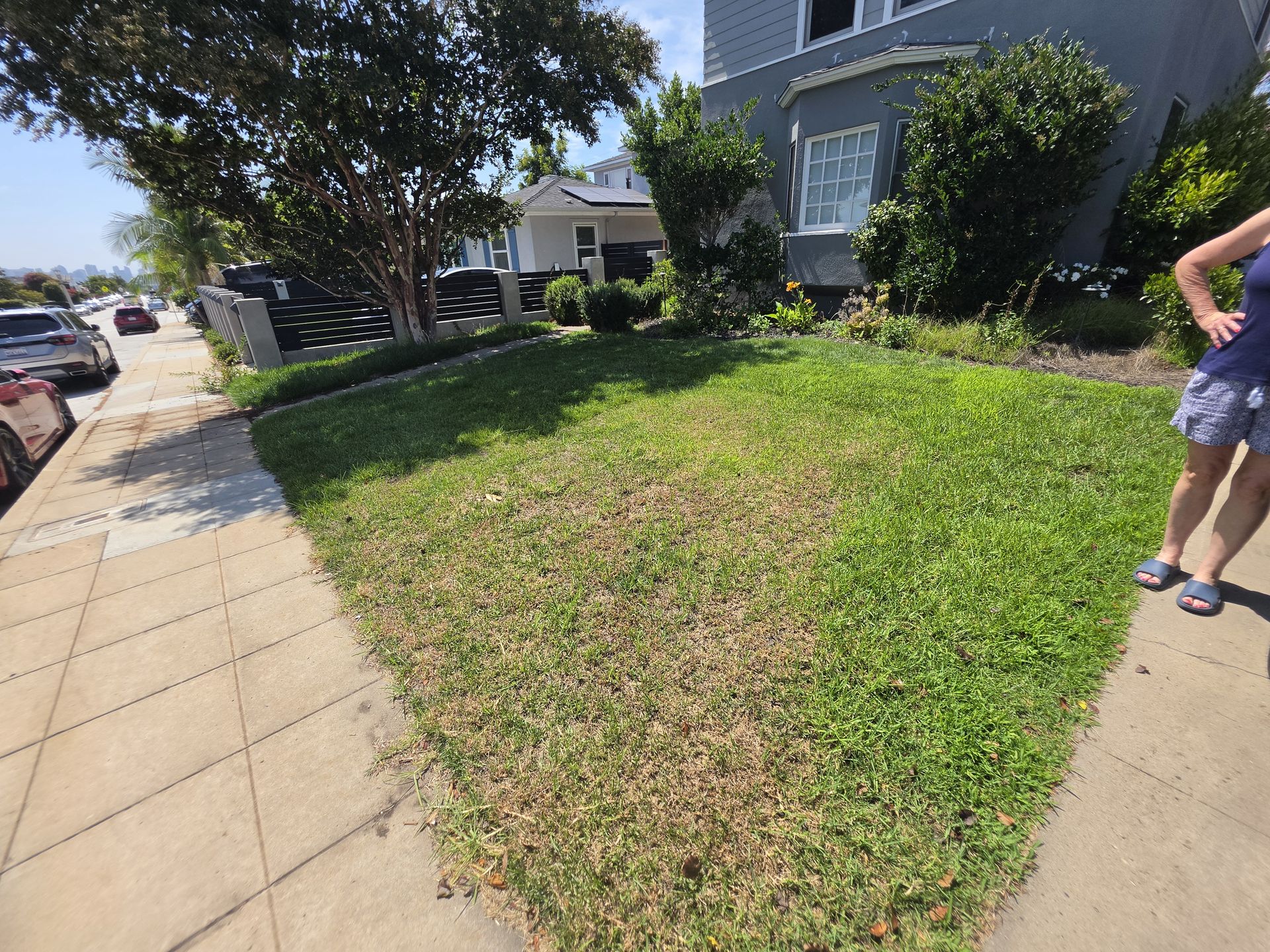 Lawn Mowing